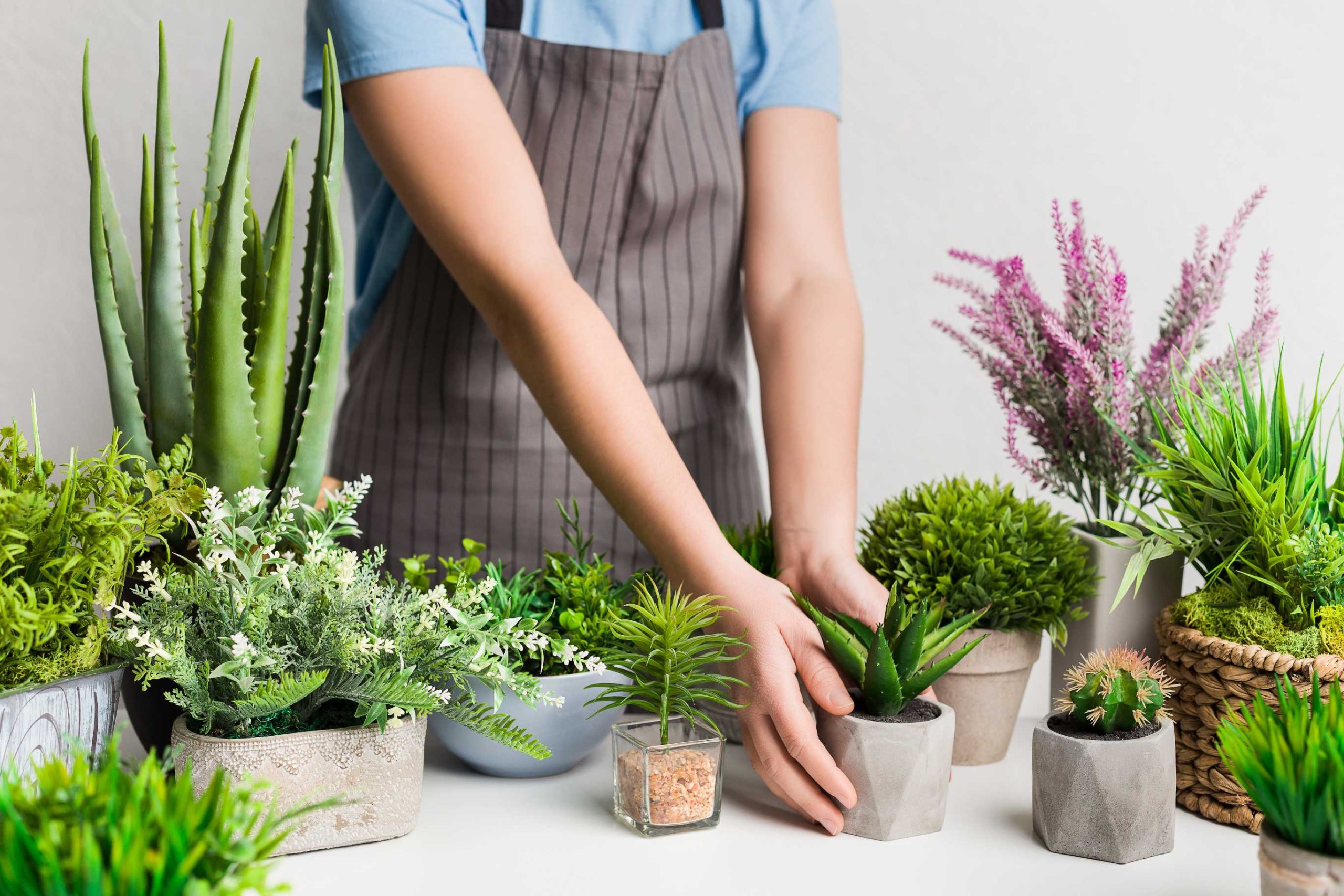 Kunstplanten groothandel Kunstplanten groothandel