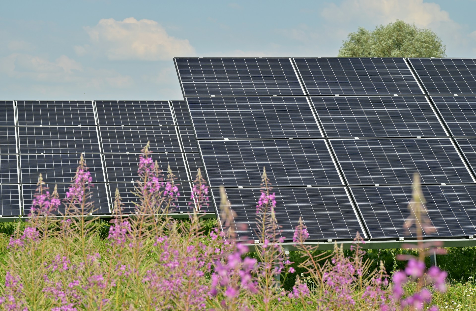 zonnepanelen noordwijk