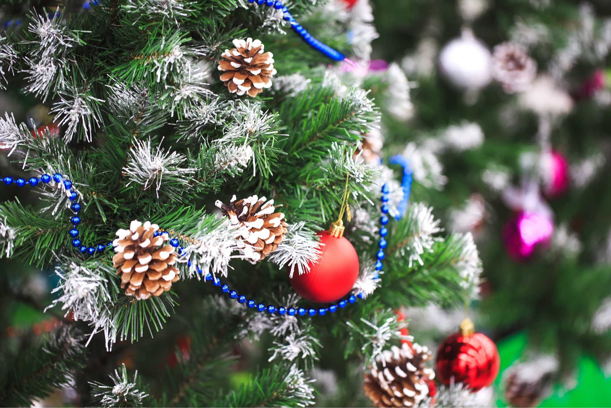 grote kerstboom kopen