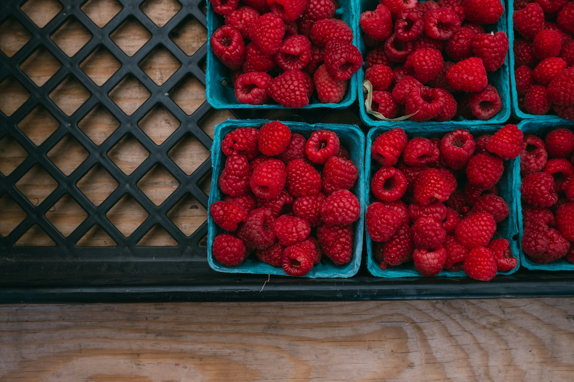 beterschap fruitmand bestellen beterschap fruitmand bestellen