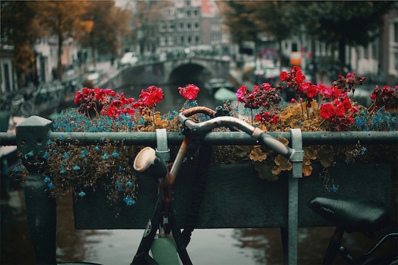 Huizen Amsterdam